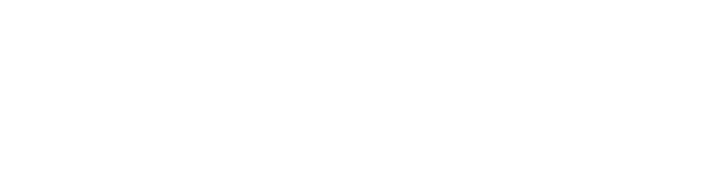 Logo Steeward
